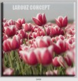 /album/photo-gallery-canvas-uri/decoratiuni-de-perete-canvas-lc-0494-jpg/